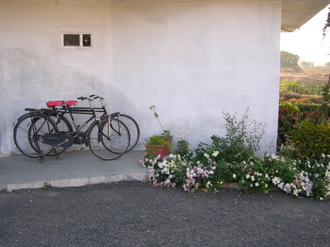 Bikes at a cottage
